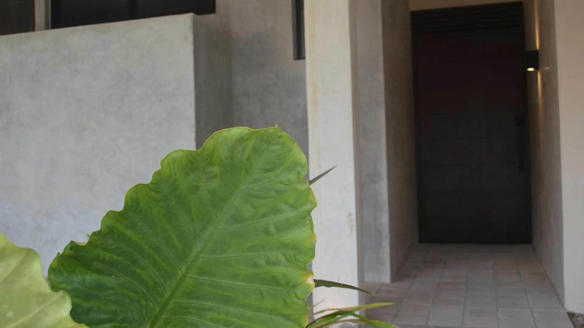 Apartment Comodo E Independiente!! Merida